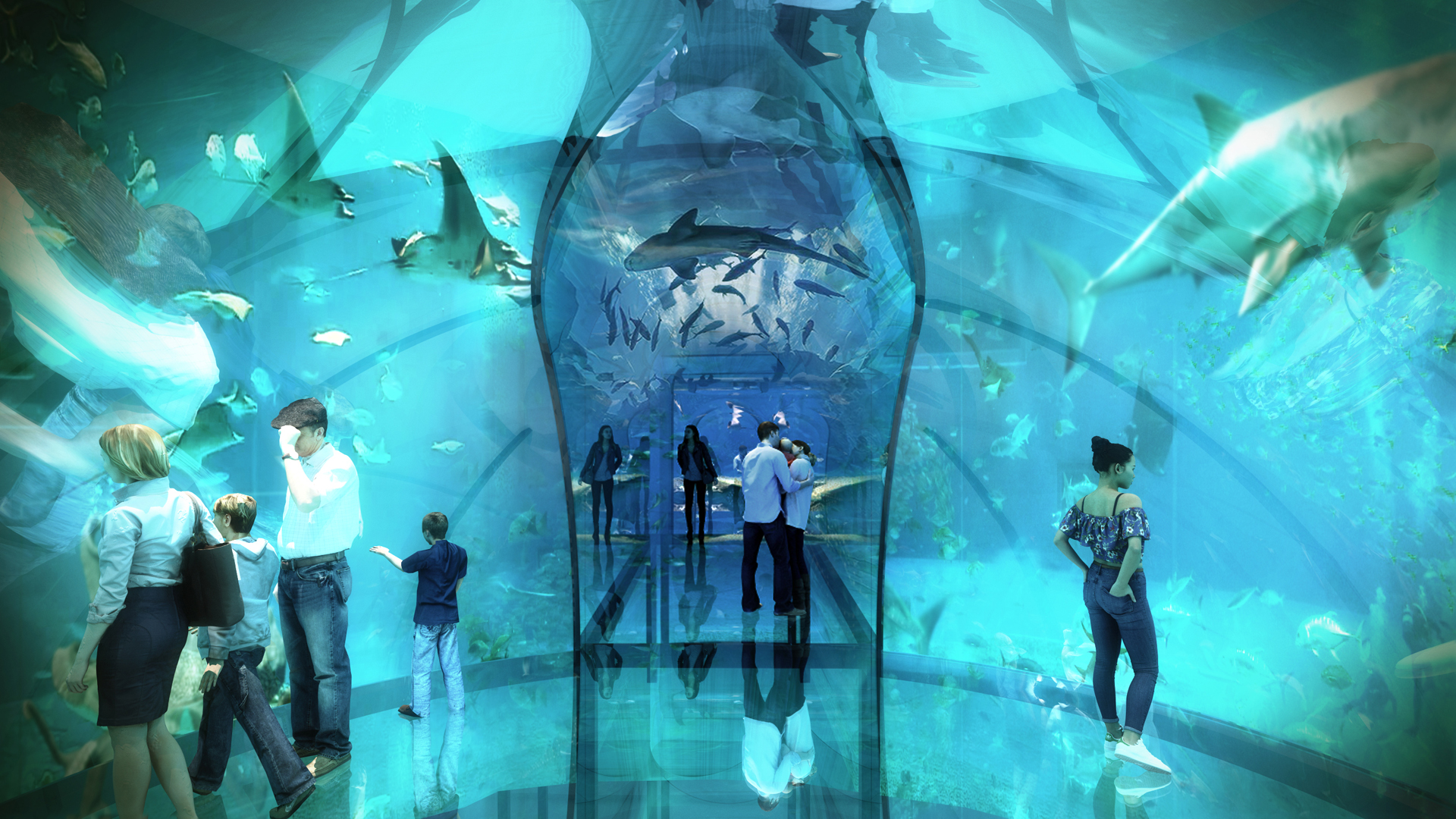 aquarium