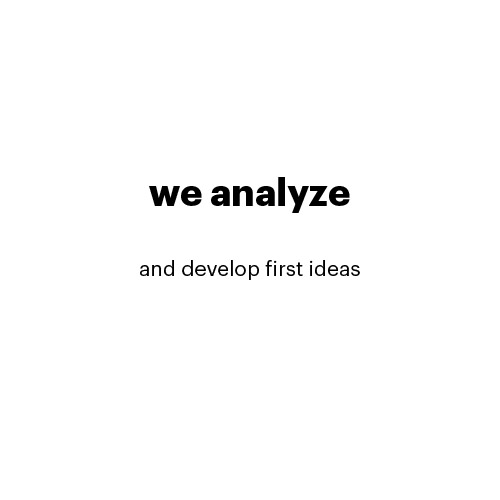 we analyze
